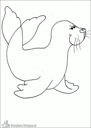 Zeehond 13 kleurplaat