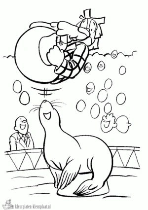 Zeehond 20 kleurplaat