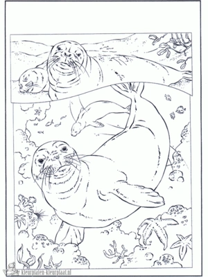 Zeehond 5 kleurplaat
