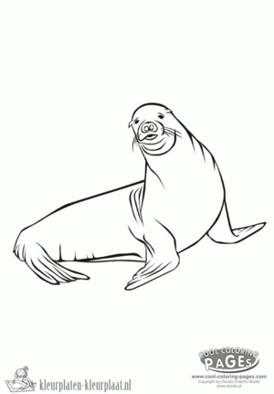 Zeehond 6 kleurplaat