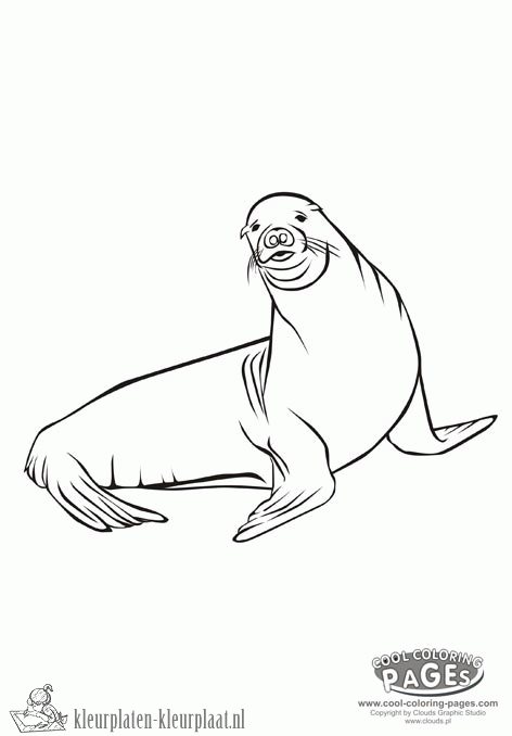 Zeehond 6 kleurplaat